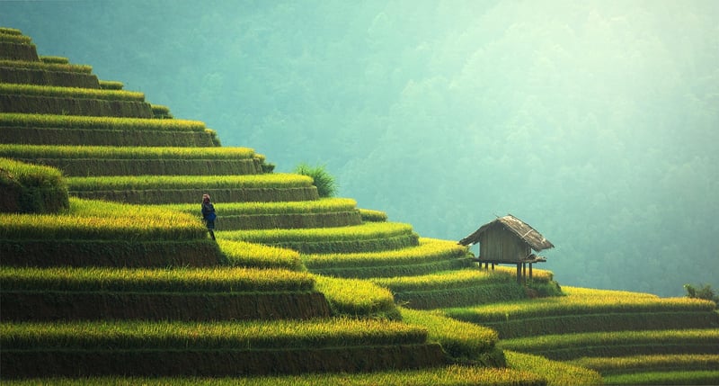 Sustainable Landscaping