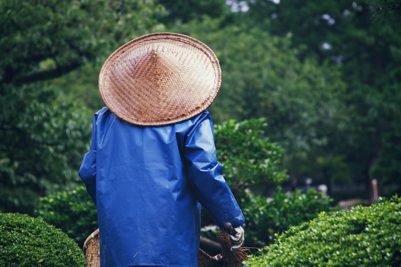 Gardening with Kids